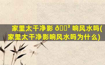家里太干净影 🌳 响风水吗(家里太干净影响风水吗为什么)